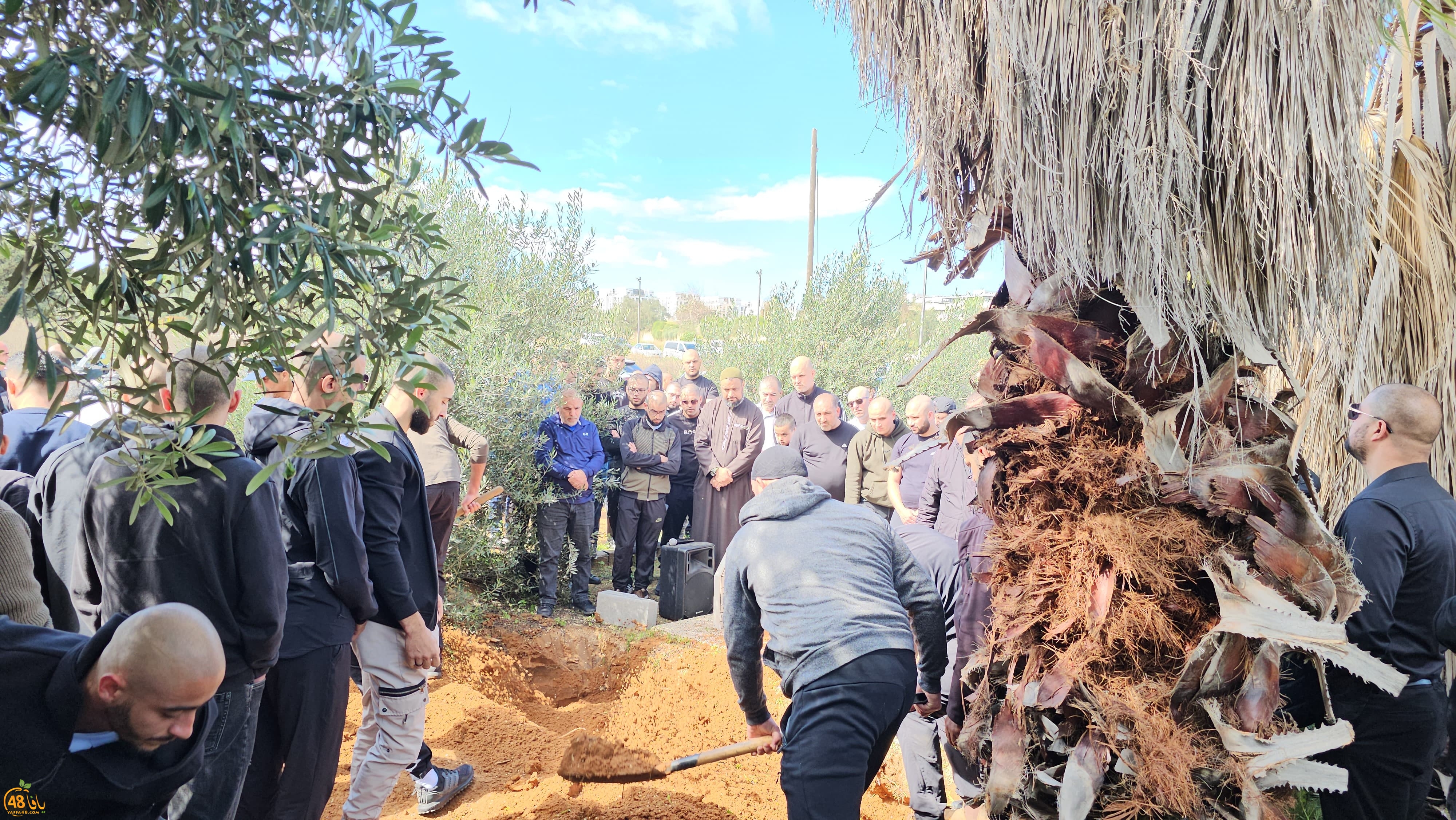 WhatsApp Image 2024-03-08 at 1.52.36 PM.jpeg